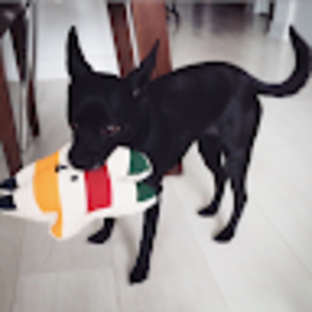 Meet your Posher, Marcella